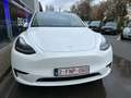 Tesla Model Y Blanc - thumbnail 10