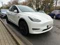Tesla Model Y Blanc - thumbnail 9