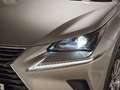 Lexus NX 300 300h Business 2WD Silber - thumbnail 30