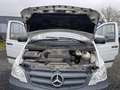 Mercedes-Benz Vito Kasten 113 CDI WORKER lang Weiß - thumbnail 20