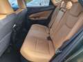 Lexus NX 350h Executive Line FWD FLA HUD Panoramadach siva - thumbnail 7