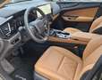 Lexus NX 350h Executive Line FWD FLA HUD Panoramadach siva - thumbnail 5