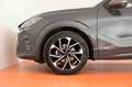 CUPRA Terramar ALPHA 1.5 e-TSI 150 PS DSG Blau - thumbnail 21