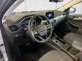 Ford Kuga 2,0 EcoBlue AWD  Aut. NAVI/ASSIST/AHV-Vorbereitung Gris - thumbnail 10