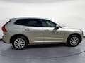 Volvo XC60 T8 Twin Engine AWD Geartronic Business Plus bež - thumbnail 6