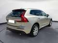 Volvo XC60 T8 Twin Engine AWD Geartronic Business Plus Beige - thumbnail 5