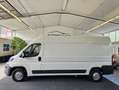 Peugeot Boxer 335 L3H2 Premium BlueHDi 140 Stop MY20+NAVI+KAMERA Weiß - thumbnail 6