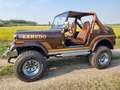 Jeep CJ-7 Laredo V8 AMC 304 Marrone - thumbnail 3