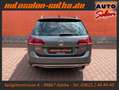 Volkswagen Golf VII Alltrack DSG 4Motion LED+Standhzg FSHzg Grau - thumbnail 5