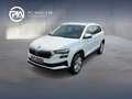 Skoda Karoq Selection TSI DSG ACT Weiß - thumbnail 1