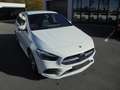 Mercedes-Benz B 250 B 250 e 8G-DCT AMG /CAMERA/AMBIENTE Blanc - thumbnail 3
