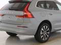 Volvo XC60 B5 Core AWD ACC Frontscheibenhzg H&K Grau - thumbnail 3
