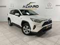 Toyota RAV 4 RAV4 Hybrid 220H 4x2 Business Blanc - thumbnail 3