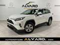 Toyota RAV 4 RAV4 Hybrid 220H 4x2 Business Blanc - thumbnail 1
