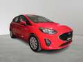 Ford Fiesta 5 Porte 1.1  Plus Rosso - thumbnail 3