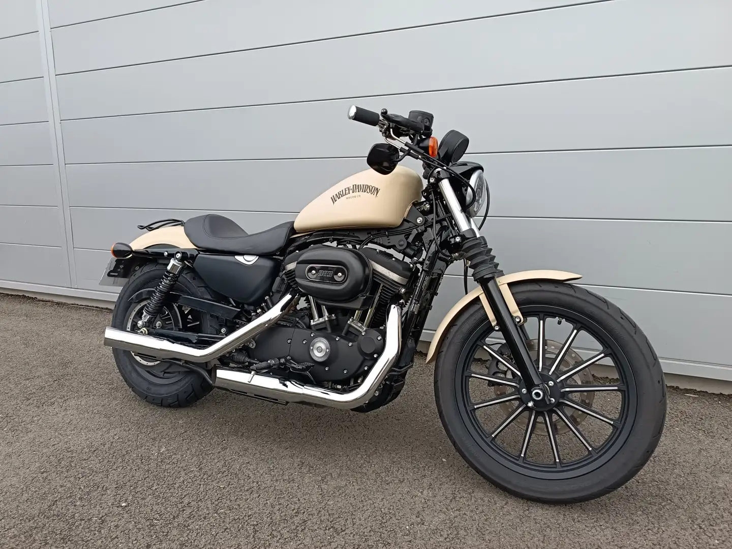 Harley-Davidson Sportster Beige - 1