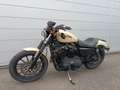 Harley-Davidson Sportster Beige - thumbnail 6