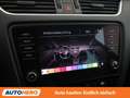 Skoda Octavia 2.0 TDI Style Limited Schwarz - thumbnail 26