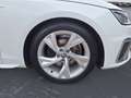 Audi A4 35 TDI S-tronic S-Line Navi APS Sitzhzg Wit - thumbnail 12