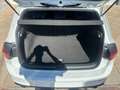 Volkswagen Golf GTI PERFORMANCE 2.0 245CV  PANO IQ.LIGHT H/K HEAD-UP Bianco - thumbnail 11