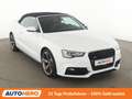 Audi A5 3.0 V6 TDI quattro Aut.*NAVI*XENON*ACC* Weiß - thumbnail 8