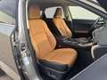 Lexus NX 300h AWD Luxury Line Trekhaak DAB Camera Navigatie Led Gris - thumbnail 23