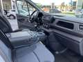 Nissan Primastar Kastenwagen L2H1 3,0t dCi 150 Acenta 2ST Weiß - thumbnail 9