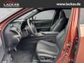 Lexus UX 250h 300h F-Sport Navi LED Dyn. Kurvenlicht ACC Apple CarPlay Android Auto Mehrzonenklima Rot - thumbnail 9