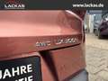 Lexus UX 250h 300h F-Sport Navi LED Dyn. Kurvenlicht ACC Apple CarPlay Android Auto Mehrzonenklima Rot - thumbnail 19