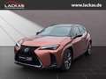 Lexus UX 250h 300h F-Sport Navi LED  ACC Apple CarPlay Noir - thumbnail 1