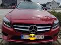 Mercedes-Benz C 160 C 160 T 9G-TRONIC Avantgarde Rood - thumbnail 2