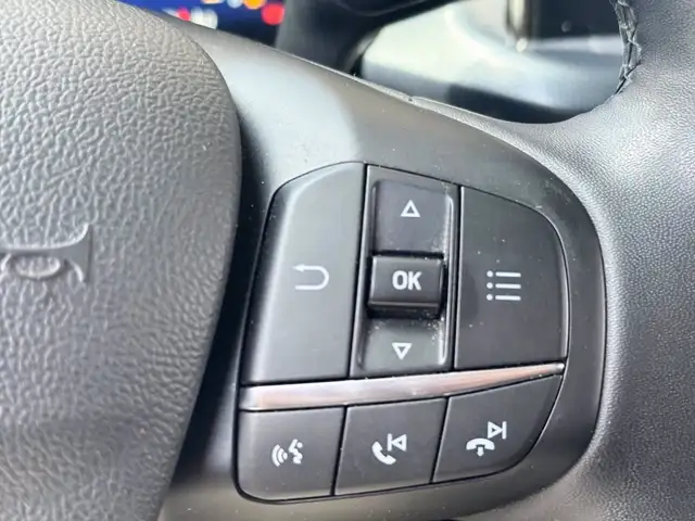 Ford Focus view 22