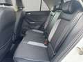 Volkswagen T-Roc GOAL 2.0 TDI DSG AHK, LED-Plus, RFK, ACC Weiß - thumbnail 12
