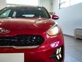 Kia Niro 1.6 GDI HYBRID DRIVE 141 5P Rojo - thumbnail 7