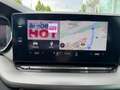 Skoda Octavia Ambition TDI Grau - thumbnail 11