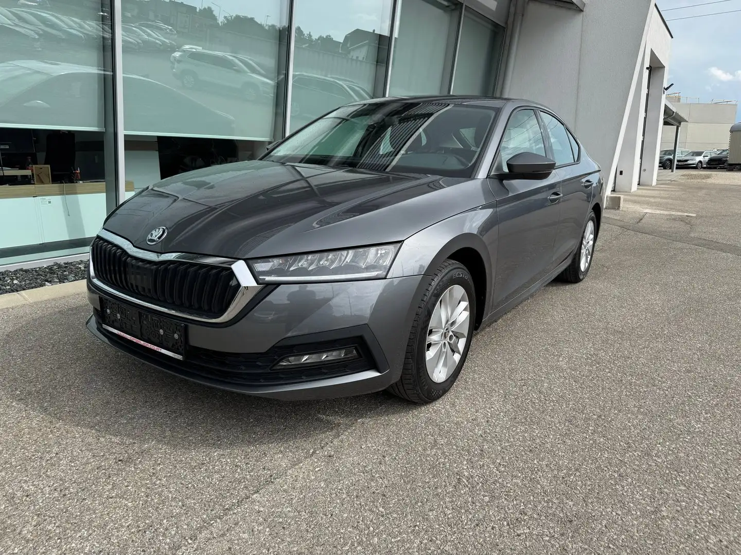 Skoda Octavia Ambition TDI Grau - 1