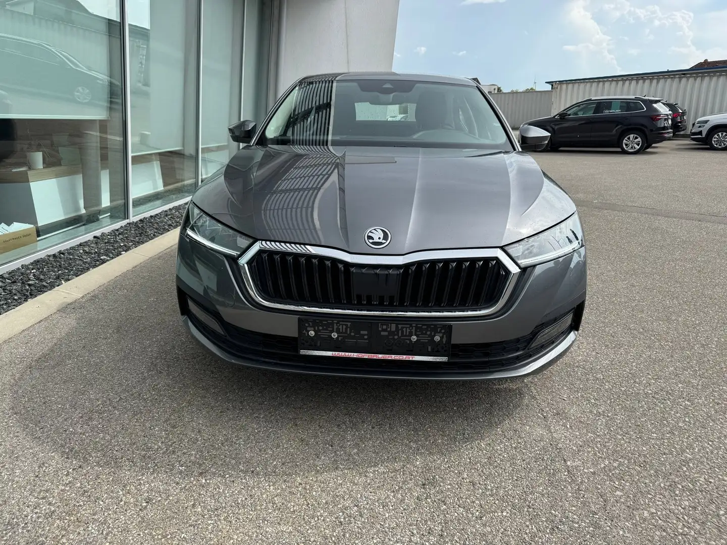 Skoda Octavia Ambition TDI Grau - 2