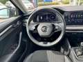 Skoda Octavia Ambition TDI Grau - thumbnail 6