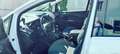 Ford Grand C-Max 1.0 EcoBoost Start-Stopp-System Titanium Blanc - thumbnail 5