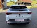 CUPRA Formentor 1,5 TSI Cupra DSG/ACC/LENKRADHZG/R-KAMERA Weiß - thumbnail 7