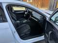 CUPRA Formentor 1,5 TSI Cupra DSG/ACC/LENKRADHZG/R-KAMERA Weiß - thumbnail 19