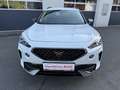 CUPRA Formentor 1,5 TSI Cupra DSG/ACC/LENKRADHZG/R-KAMERA Weiß - thumbnail 2