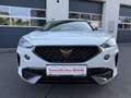 CUPRA Formentor 1,5 TSI Cupra DSG/ACC/LENKRADHZG/R-KAMERA Weiß - thumbnail 3