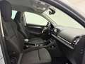Skoda Karoq 2,0 TDI SCR 4x4 Ambition Limited DSG AHK Grau - thumbnail 20