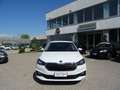 Skoda Fabia 1.0 MPI EVO 80 CV Ambition Blanc - thumbnail 8