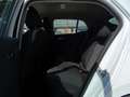Skoda Fabia 1.0 MPI EVO 80 CV Ambition Blanc - thumbnail 12