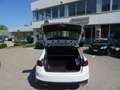 Skoda Fabia 1.0 MPI EVO 80 CV Ambition Blanc - thumbnail 29