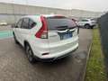 Honda CR-V CR-V IV 2015 1.6 Lifestyle + Navi 2wd White - thumbnail 4