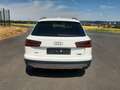 Audi A6 allroad 3.0 TDI quattro,Bi-Xenon,Navi,AHZV Biały - thumbnail 5