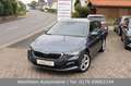 Skoda Scala Drive 125 years 116PS DSG|LED|ApCarPL|Frsp Grau - thumbnail 1